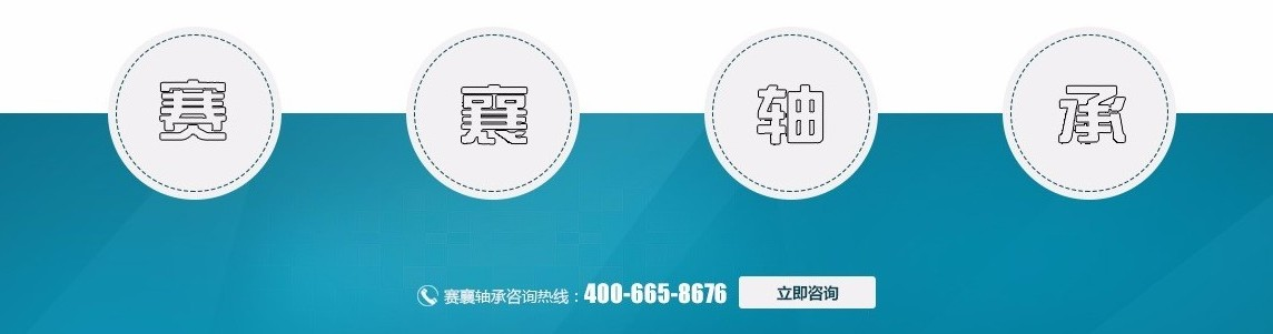 江蘇汽車(chē)軸承供應商